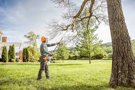 Best Lawn Grading and Leveling  in Mountain Lodge Park, NY