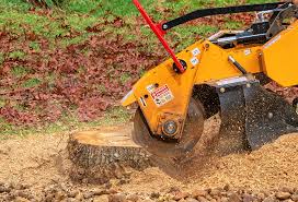 Best Tree Mulching  in Mountain Lodge Park, NY